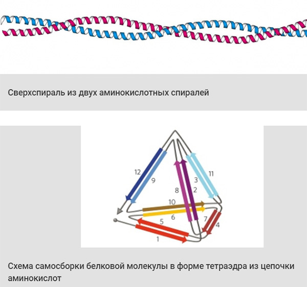 samosborka_piramidka