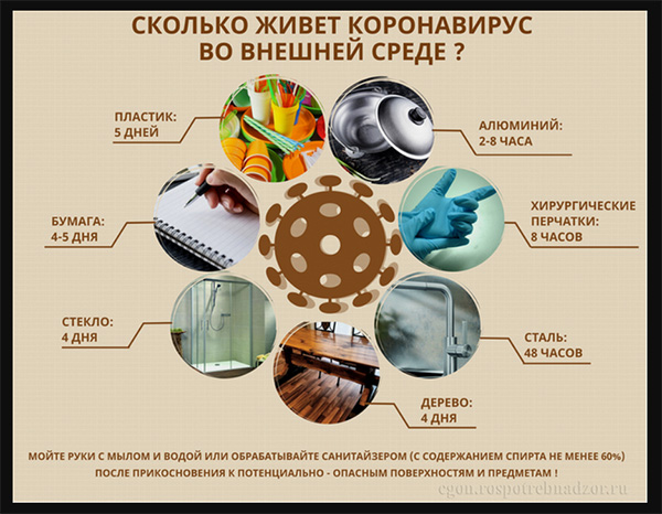 Бародинамика Шестопалова А.В. - Страница 17 Koronavirus_na_produktax_5dney