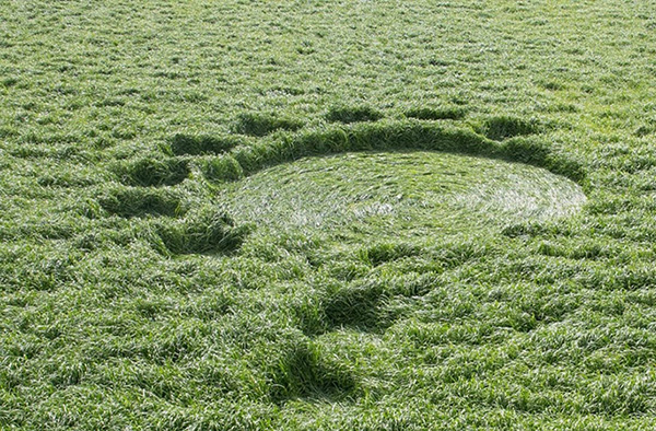 Экспедиции к выпаривателям родниковой воды - Страница 25 Crop_circle